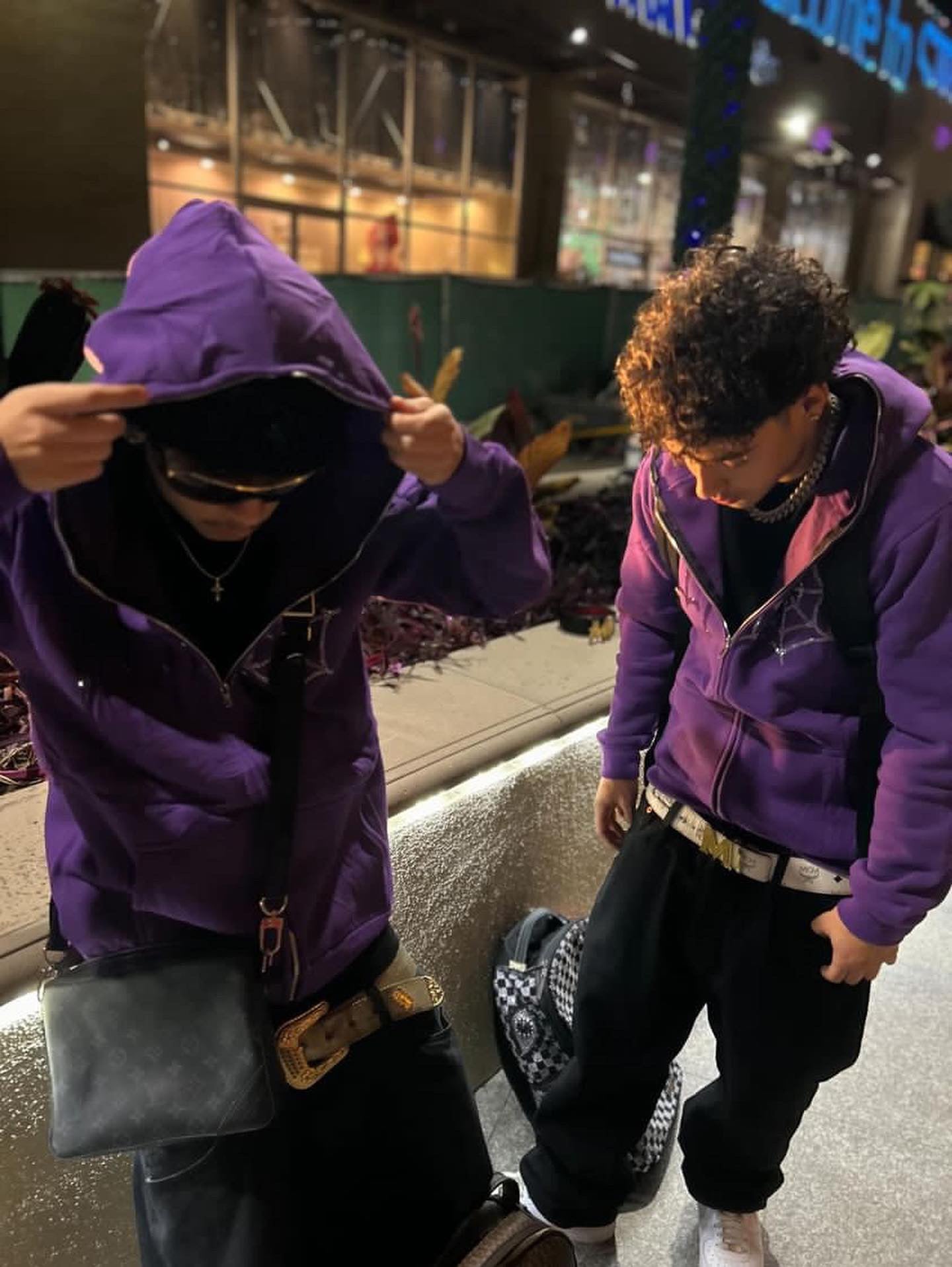 Webs zip up (purple)